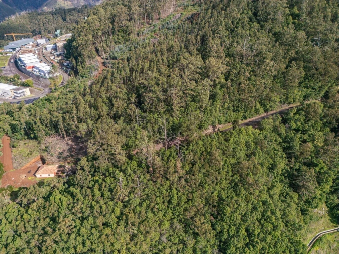 Terreno para Venda em Campanario Foto 5