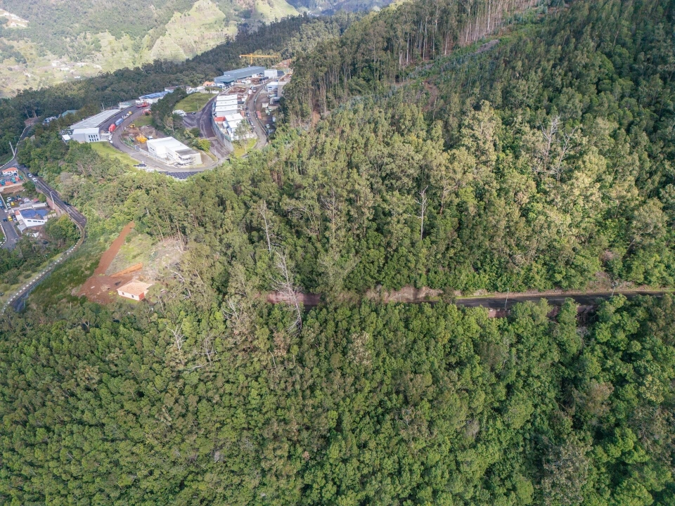 Terreno para Venda em Campanario Foto 6