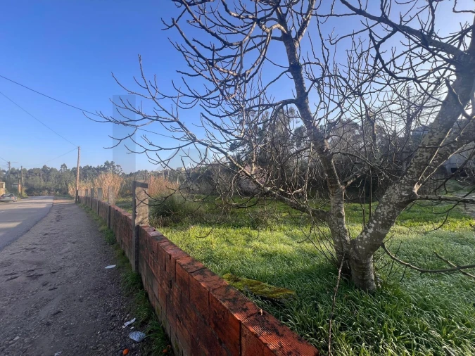 Terreno para Venda em Nogueira do Cravo e Pindelo Foto 17