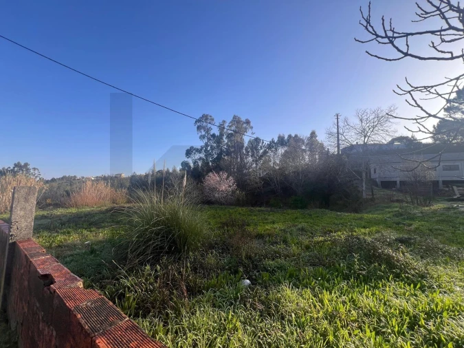 Terreno para Venda em Nogueira do Cravo e Pindelo Foto 18