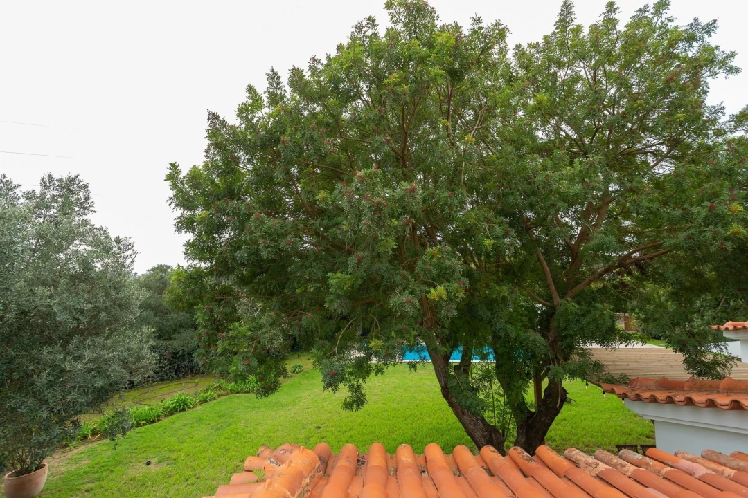 Moradia T4 para Venda em Alcabideche Foto 55