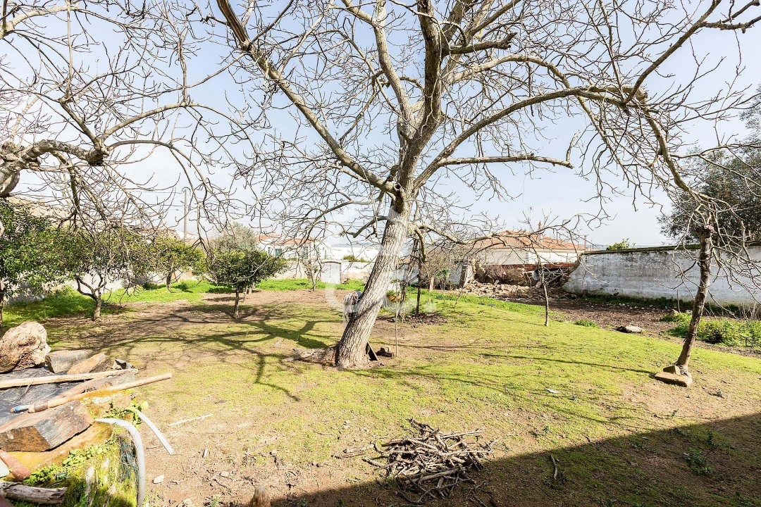 Moradia T3 para Venda em Vila de Frades Foto 42