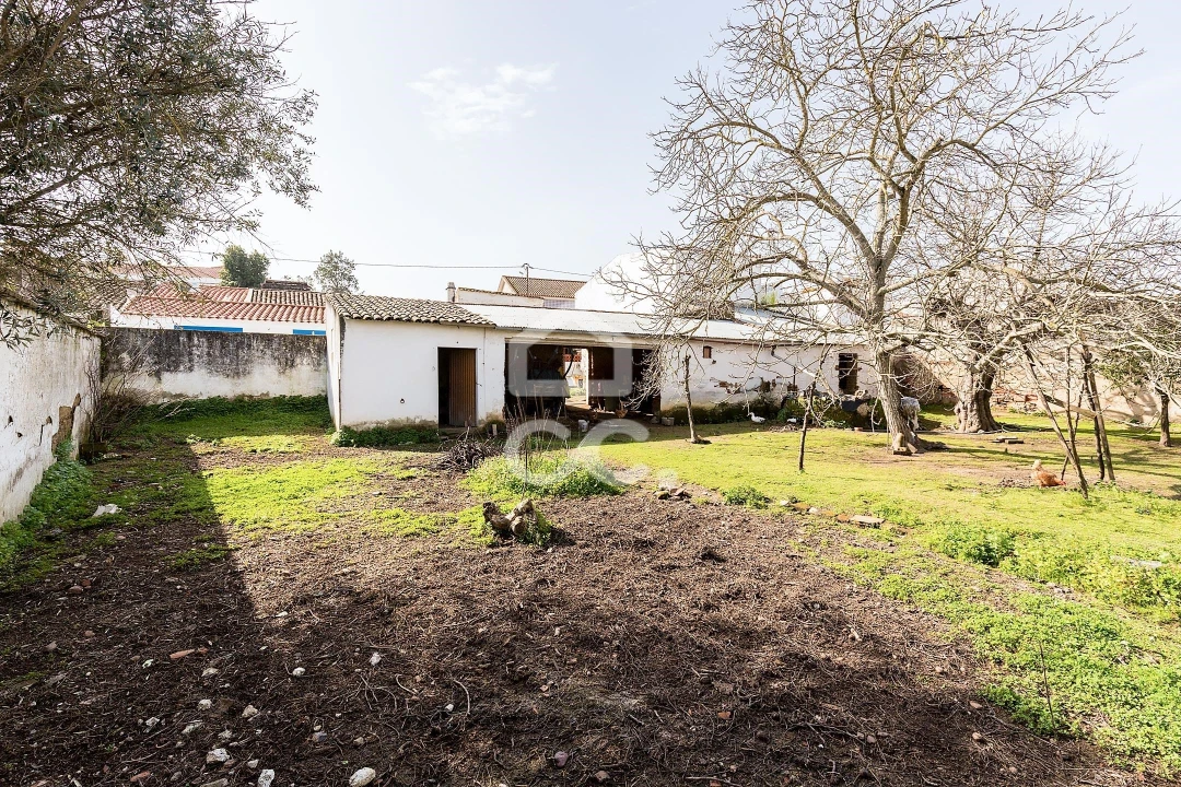 Moradia T3 para Venda em Vila de Frades Foto 4