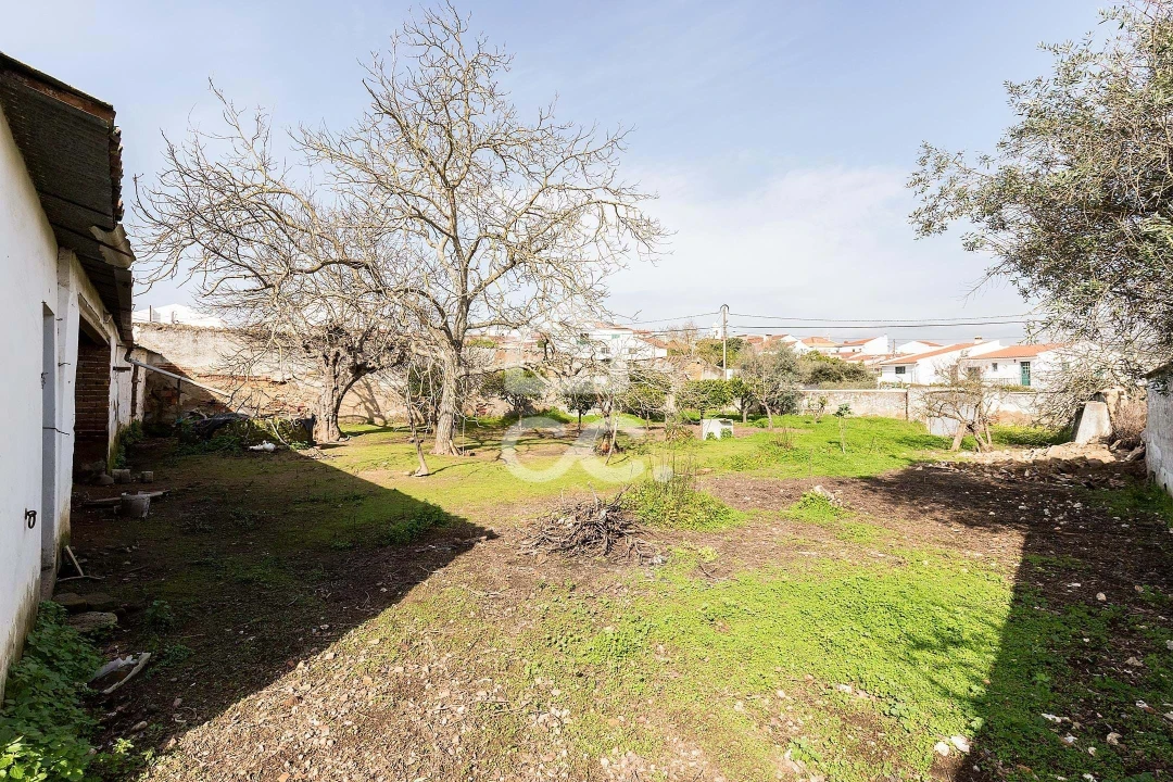 Moradia T3 para Venda em Vila de Frades Foto 5