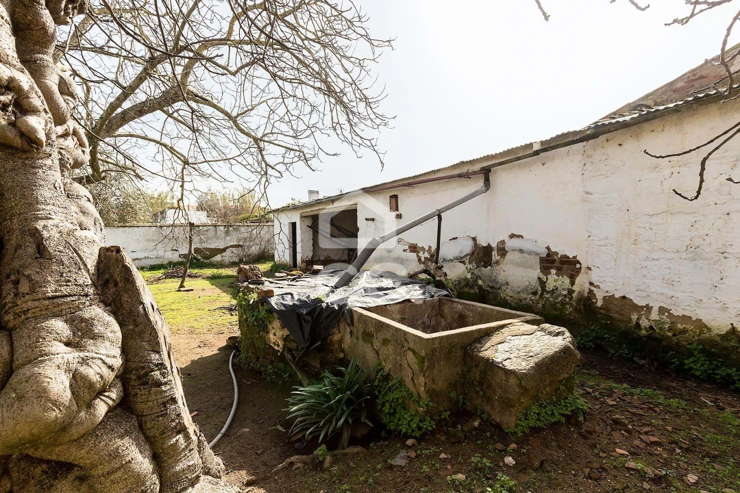 Moradia T3 para Venda em Vila de Frades Foto 31