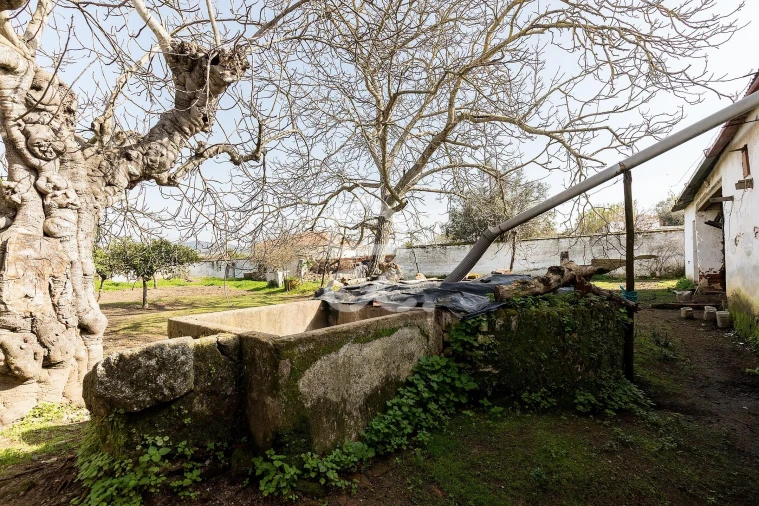 Moradia T3 para Venda em Vila de Frades Foto 32