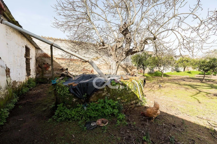 Moradia T3 para Venda em Vila de Frades Foto 39