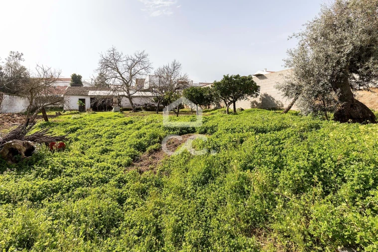 Moradia T3 para Venda em Vila de Frades Foto 37