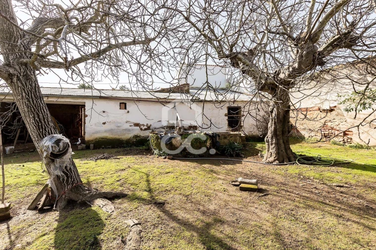 Moradia T3 para Venda em Vila de Frades Foto 30