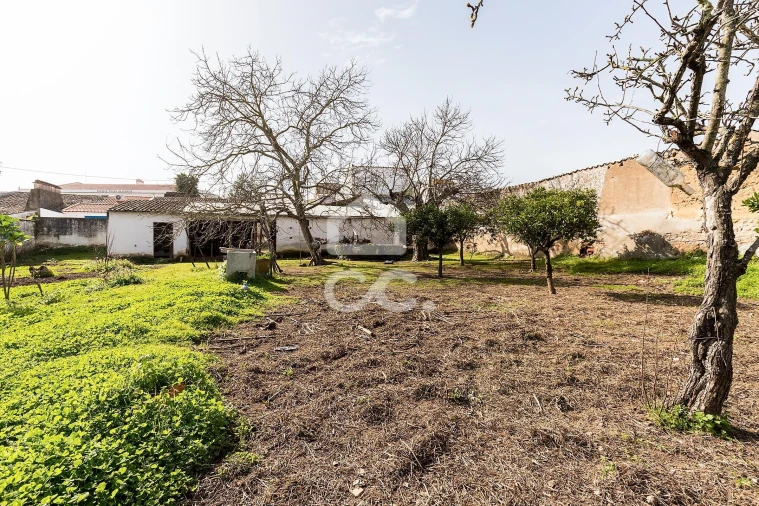 Moradia T3 para Venda em Vila de Frades Foto 38