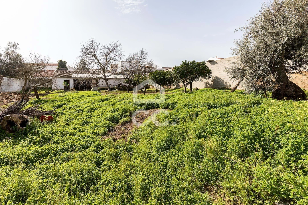 Moradia T3 para Venda em Vila de Frades Foto 37