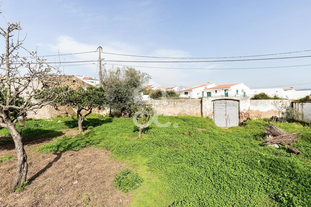 Moradia T3 para Venda em Vila de Frades Foto 35