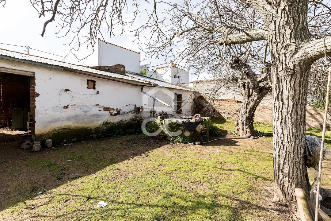 Moradia T3 para Venda em Vila de Frades Foto 28