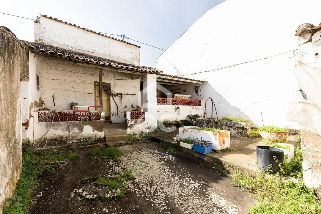 Moradia T3 para Venda em Vila de Frades Foto 24