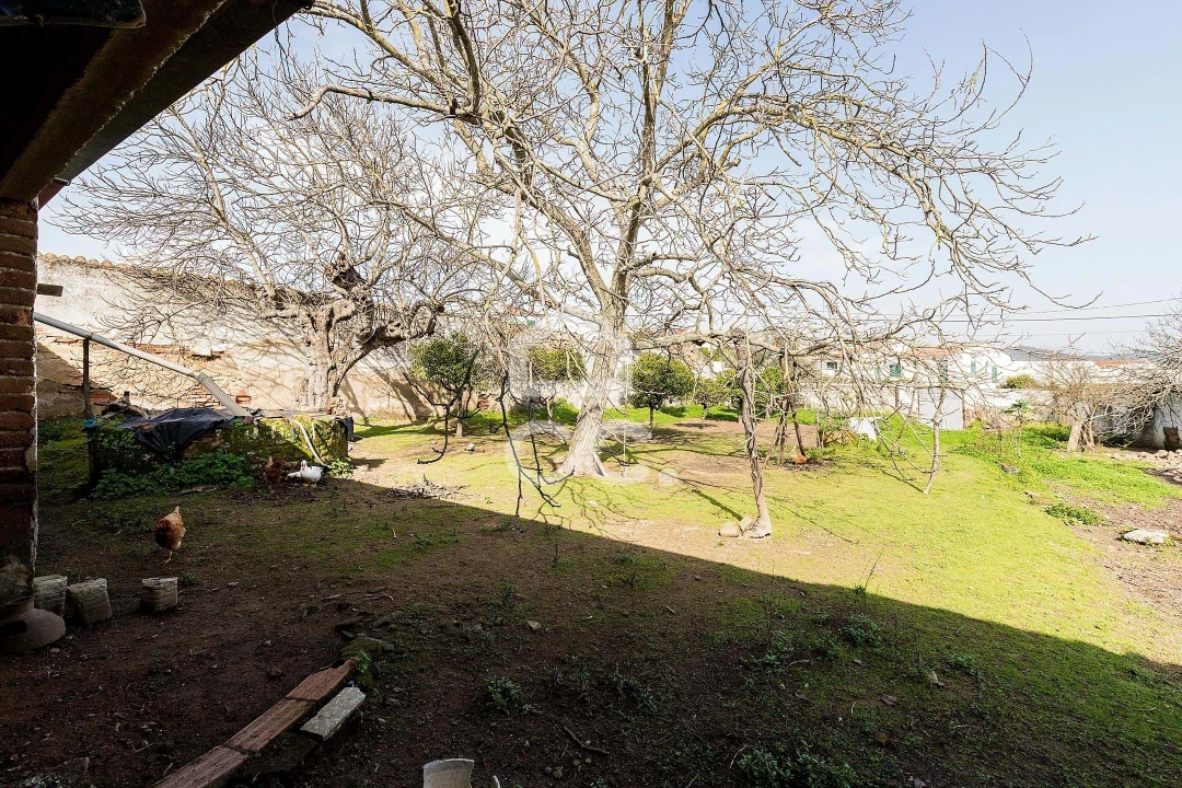 Moradia T3 para Venda em Vila de Frades Foto 40