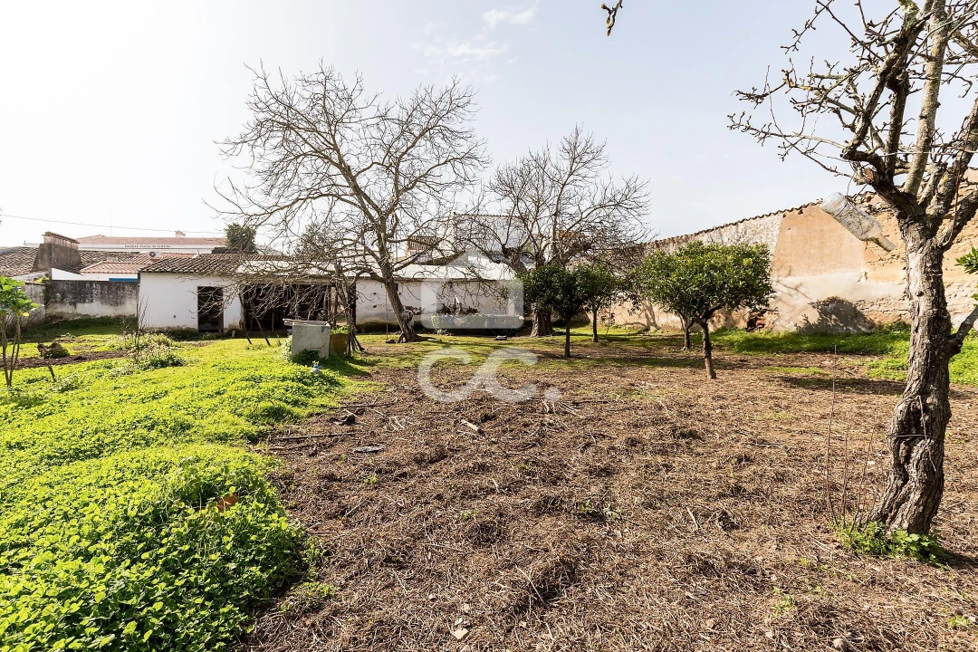 Moradia T3 para Venda em Vila de Frades Foto 38