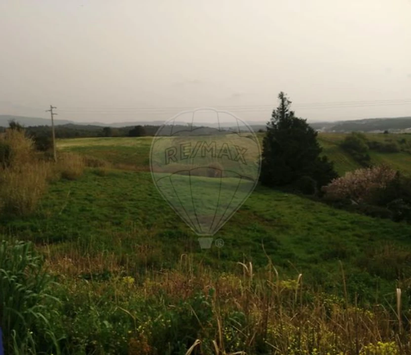 Terreno para Venda em Cadaval e Pêro Moniz Foto 2