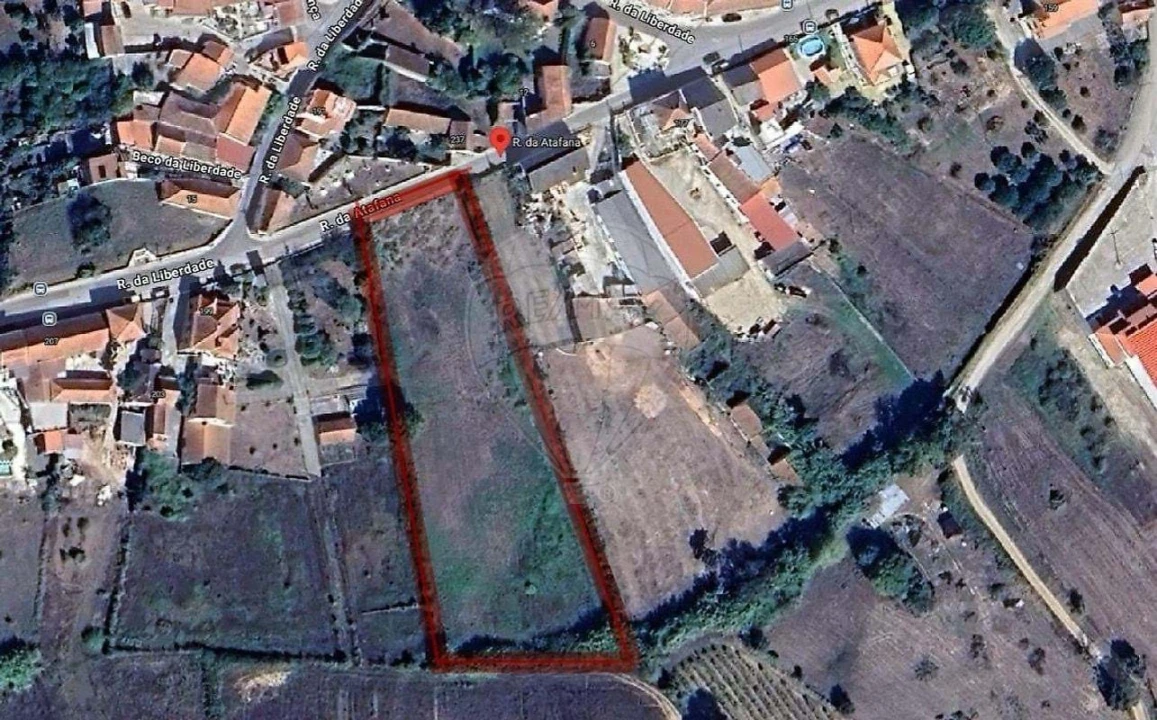 Terreno para Venda em Cadaval e Pêro Moniz Foto 4