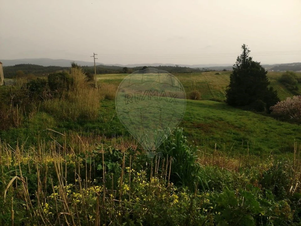 Terreno para Venda em Cadaval e Pêro Moniz Foto 3