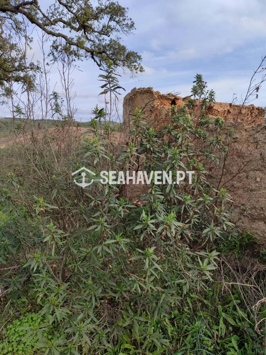 Terreno para Venda em São Marcos da Serra Foto 4