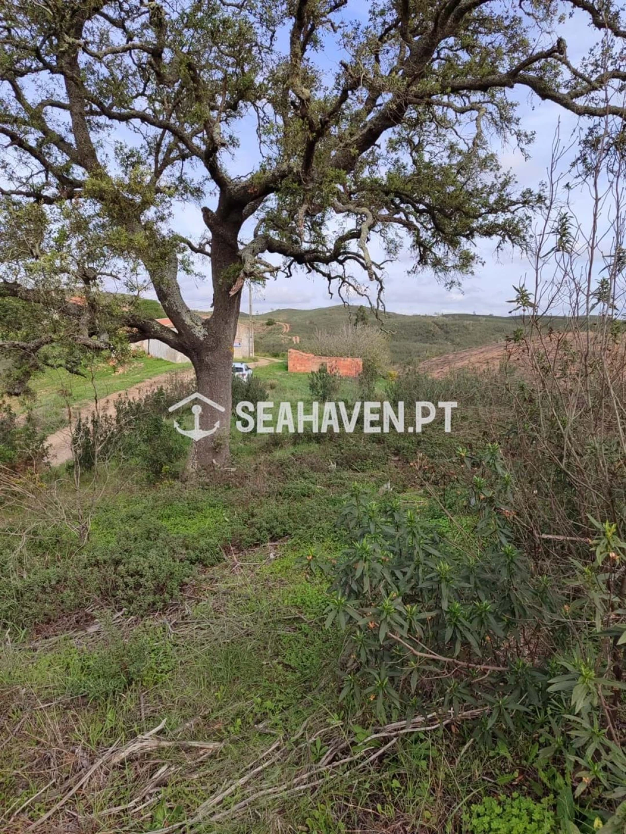Terreno para Venda em São Marcos da Serra Foto 5
