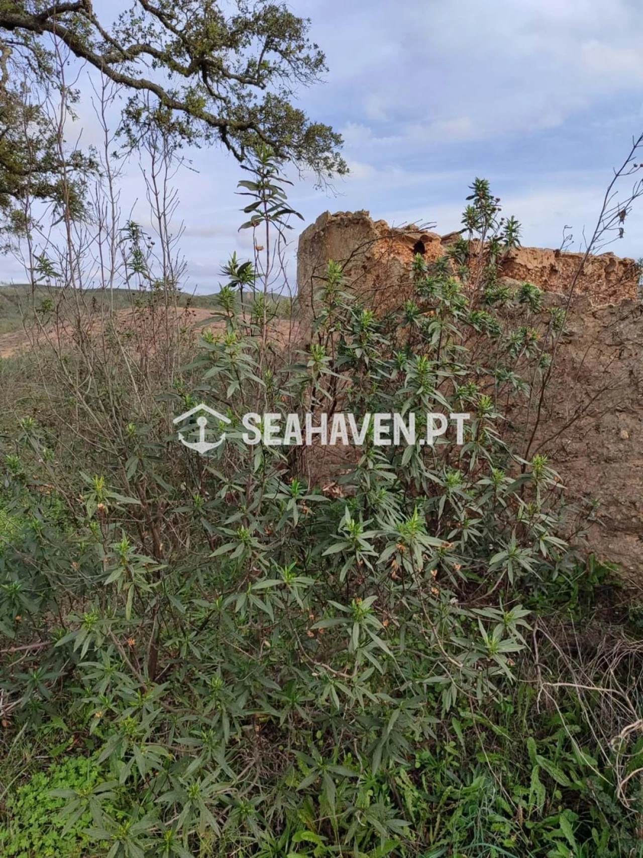 Terreno para Venda em São Marcos da Serra Foto 4