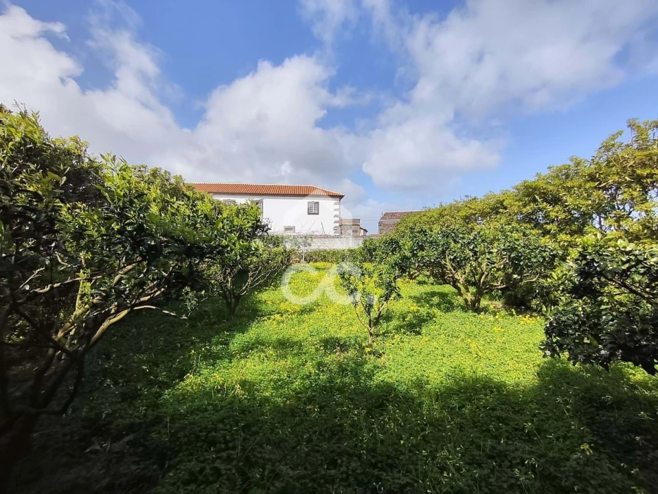 Armazém para Venda em Lajes Foto 13