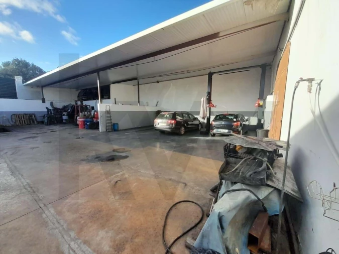 Negócio para Venda em Loule (São Clemente) Foto 15