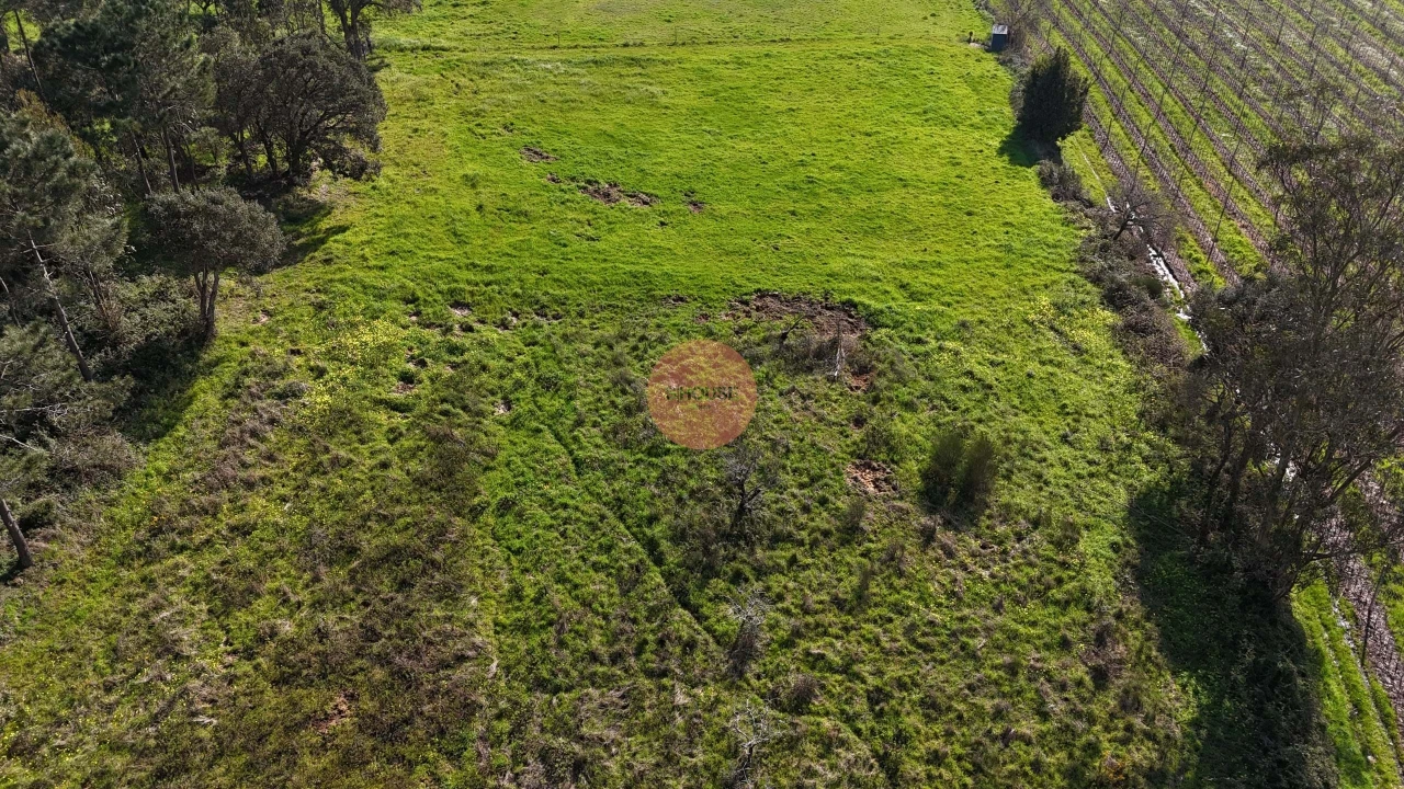 Terreno para Venda em Alfeizerão Foto 18