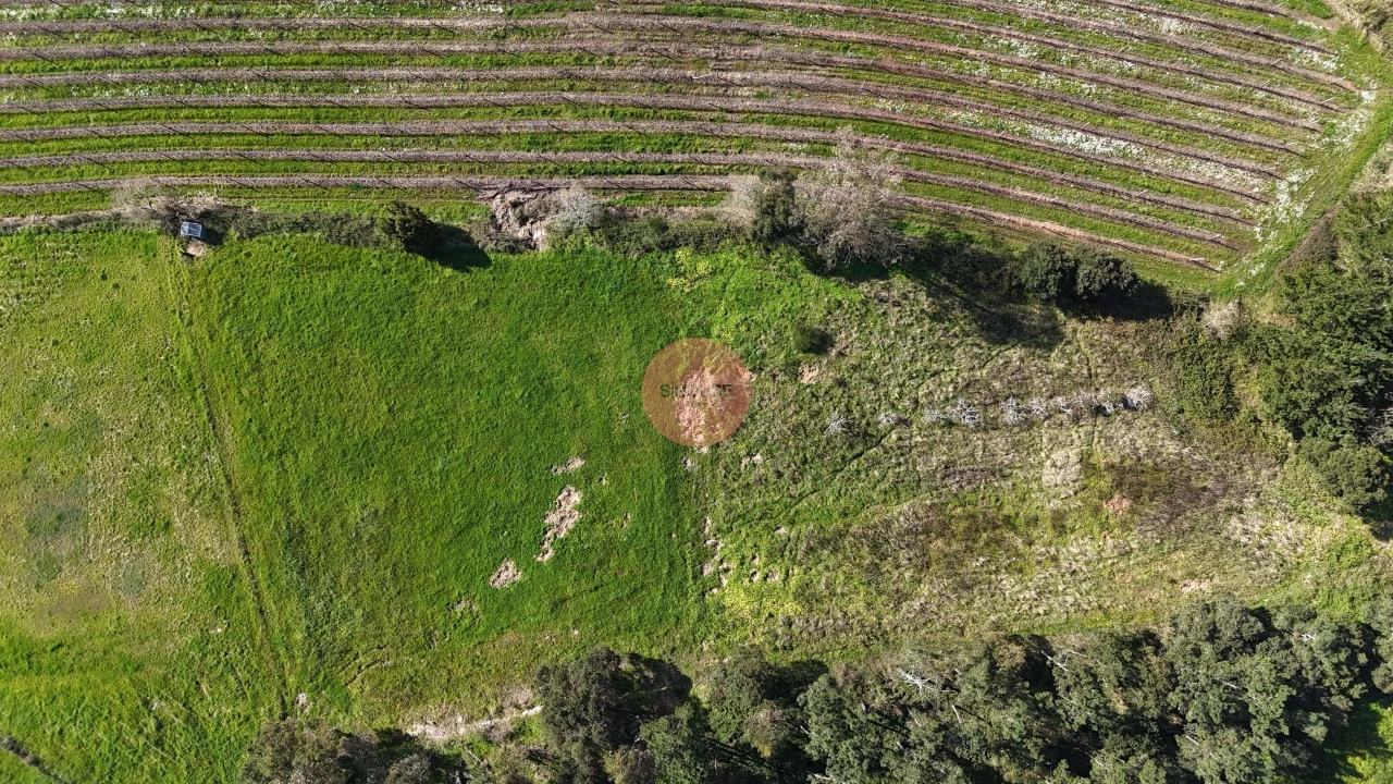 Terreno para Venda em Alfeizerão Foto 16
