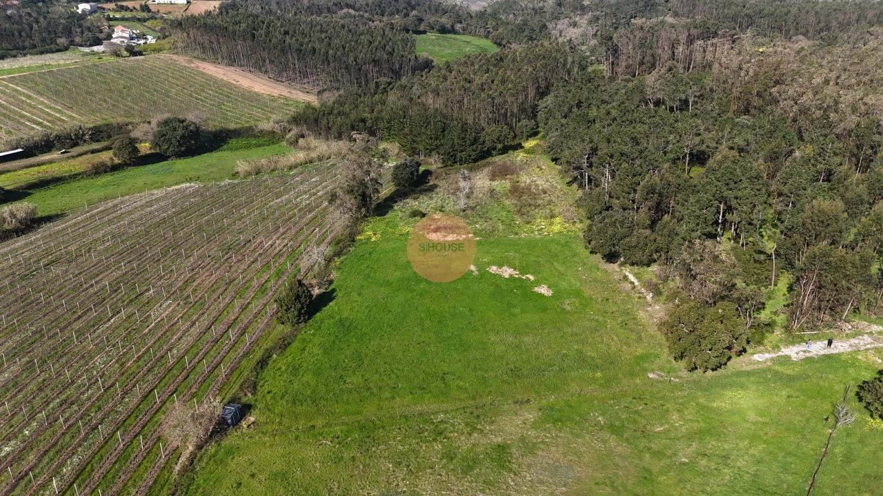 Terreno para Venda em Alfeizerão Foto 14