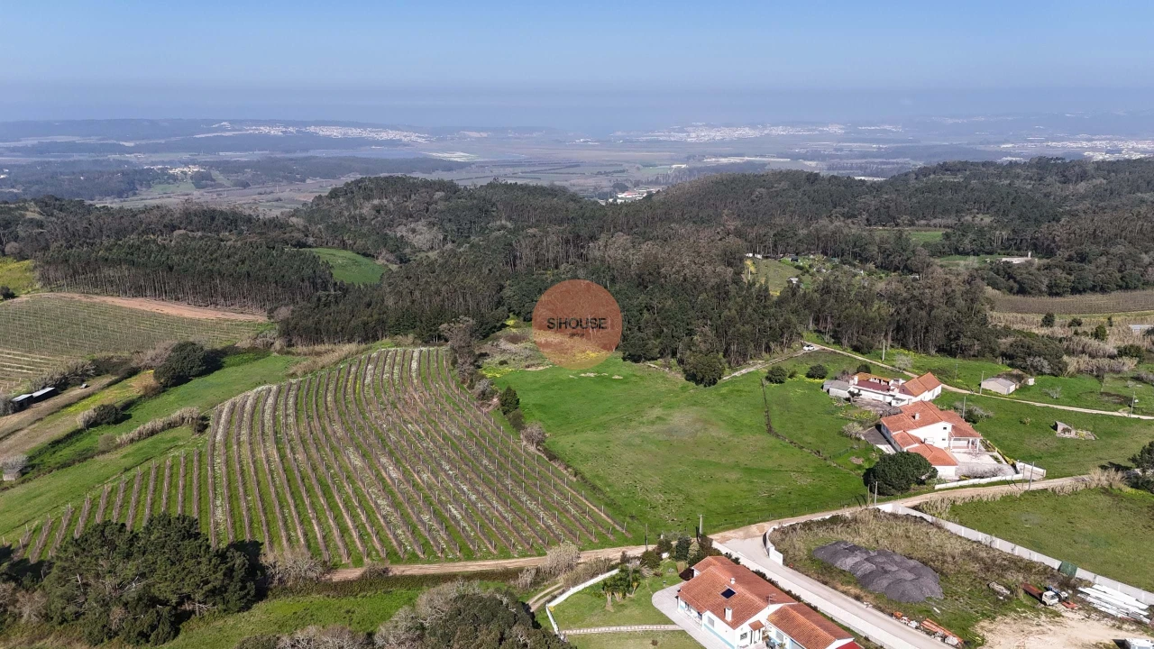 Terreno para Venda em Alfeizerão Foto 6