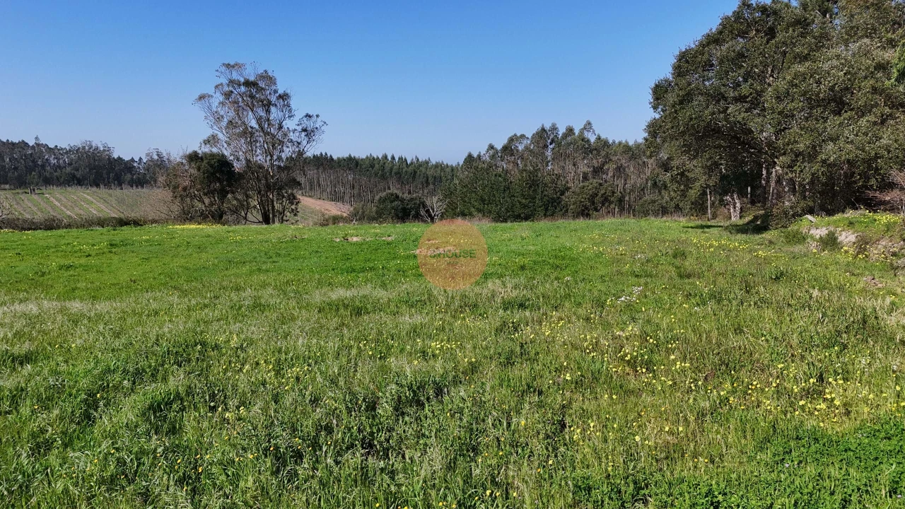 Terreno para Venda em Alfeizerão Foto 22