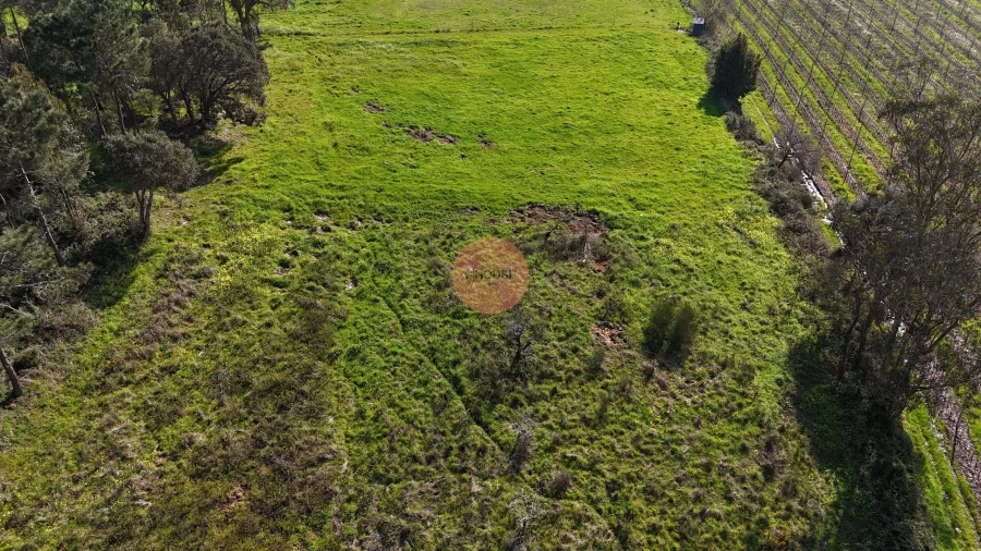 Terreno para Venda em Alfeizerão Foto 18