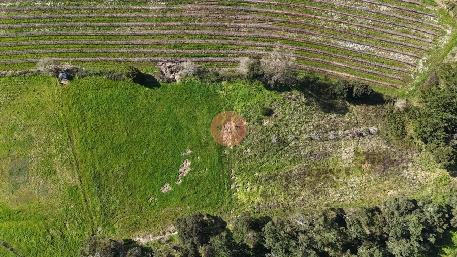 Terreno para Venda em Alfeizerão Foto 16