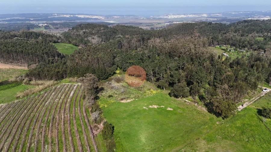 Terreno para Venda em Alfeizerão Foto 2