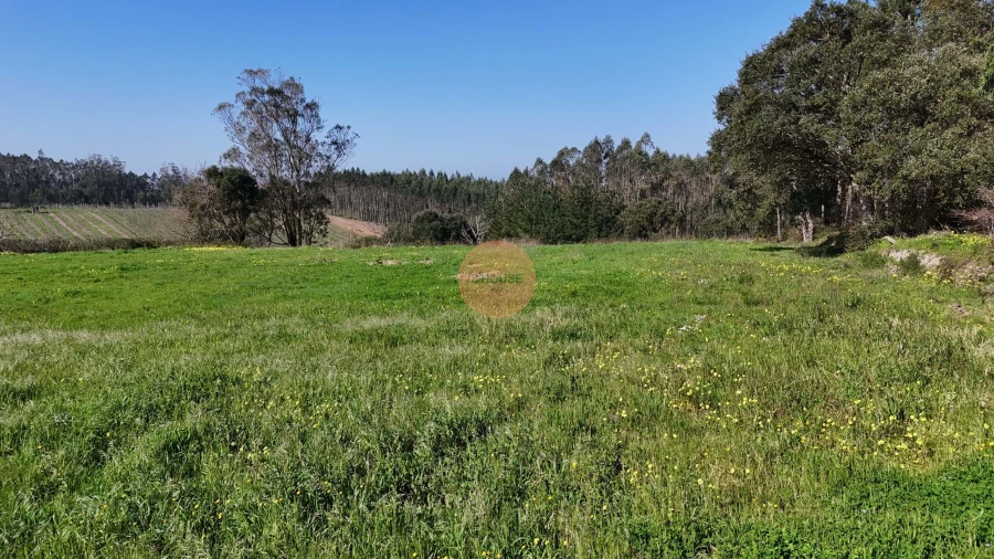 Terreno para Venda em Alfeizerão Foto 22