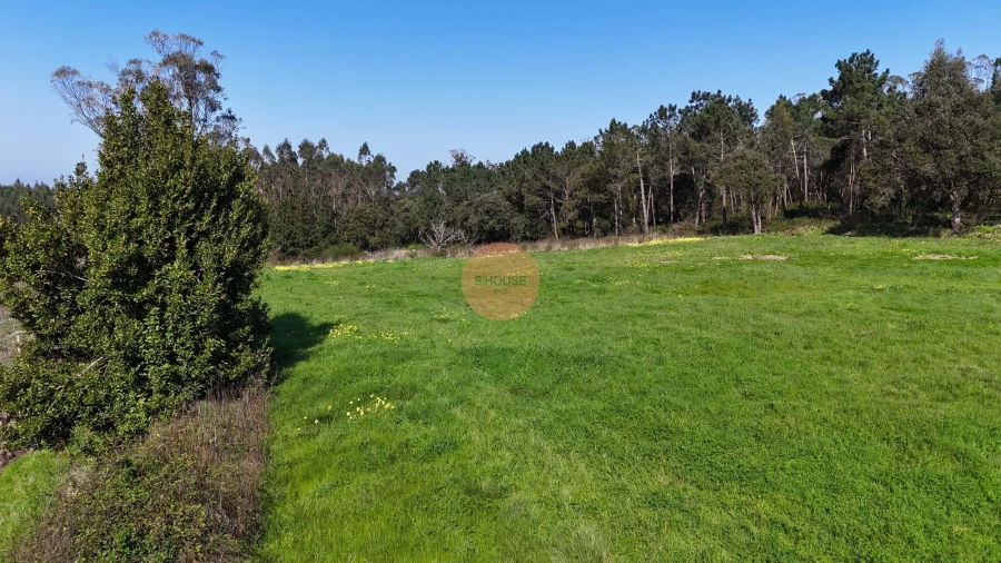 Terreno para Venda em Alfeizerão Foto 23