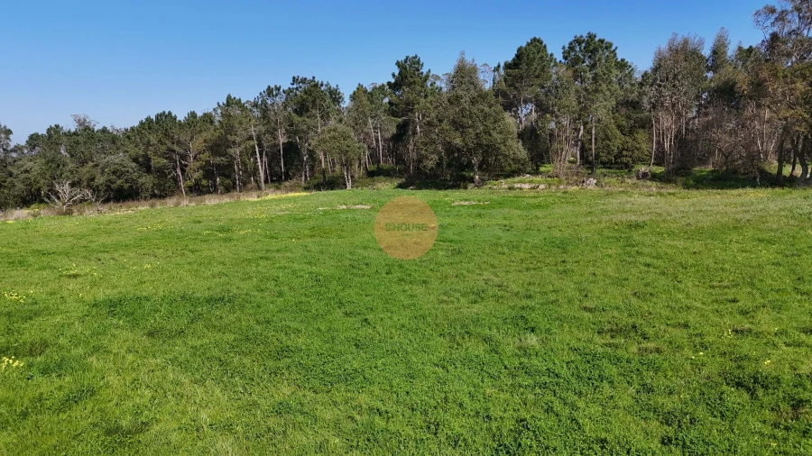 Terreno para Venda em Alfeizerão Foto 24