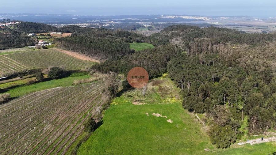 Terreno para Venda em Alfeizerão Foto 15