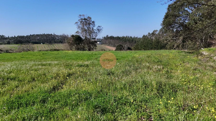 Terreno para Venda em Alfeizerão Foto 21