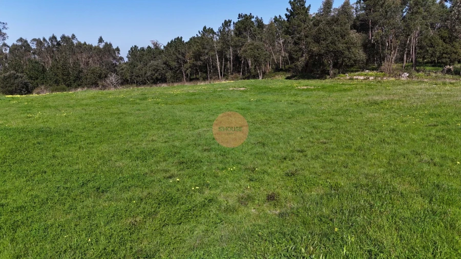 Terreno para Venda em Alfeizerão Foto 26
