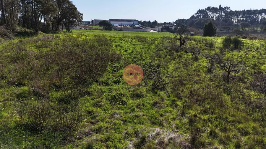 Terreno para Venda em Alfeizerão Foto 19