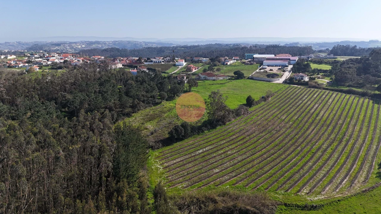 Terreno para Venda em Alfeizerão Foto 4