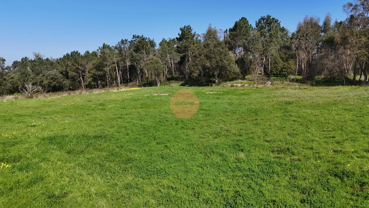 Terreno para Venda em Alfeizerão Foto 24