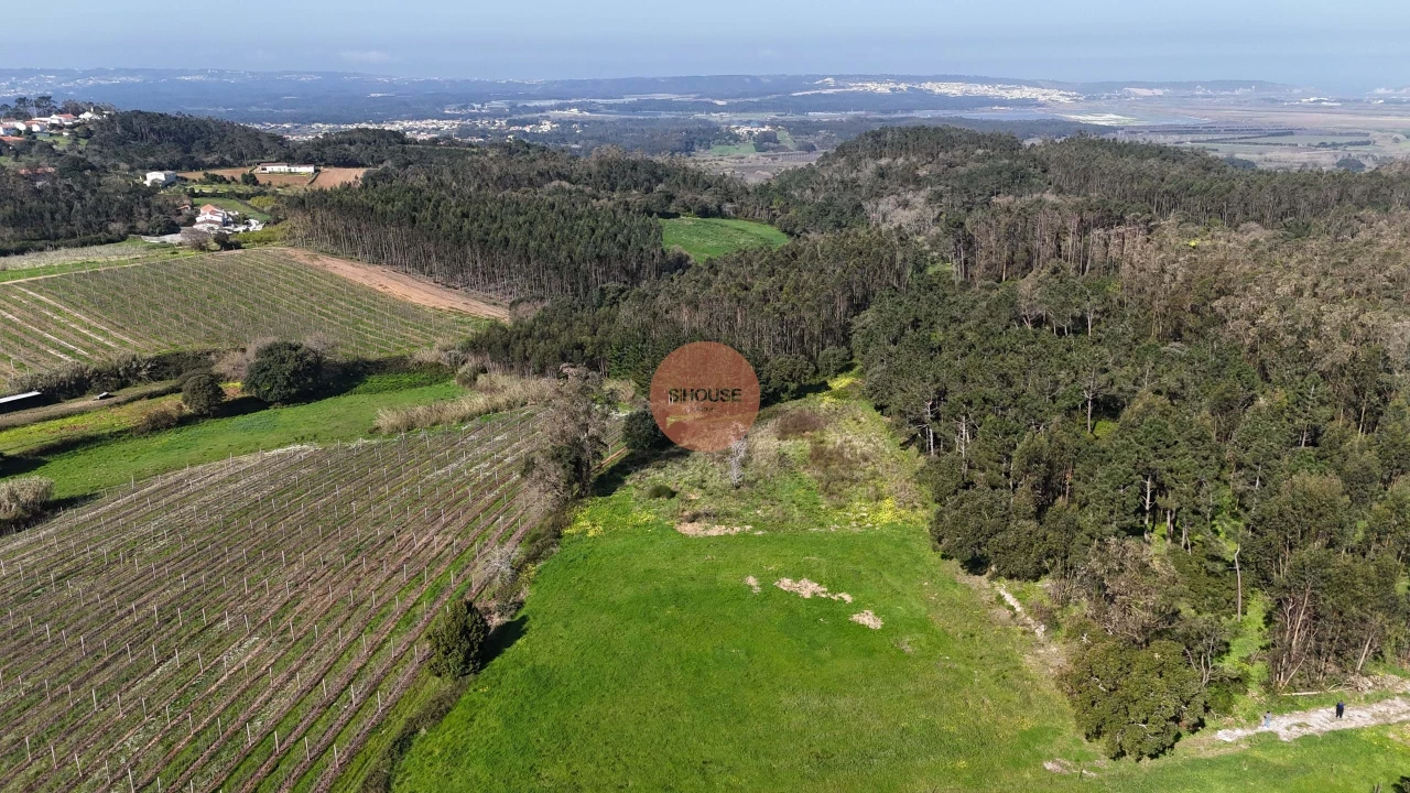 Terreno para Venda em Alfeizerão Foto 15