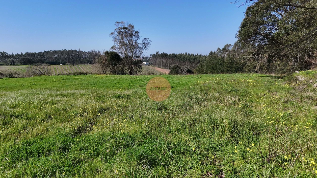 Terreno para Venda em Alfeizerão Foto 21