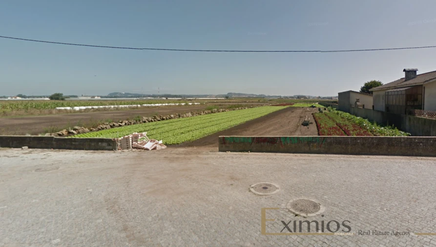 Terreno para Venda em Póvoa de Varzim, Beiriz e Argivai Foto 2