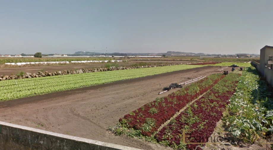 Terreno para Venda em Póvoa de Varzim, Beiriz e Argivai Foto 3