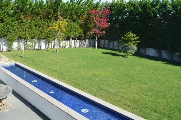 Moradia T5 para Venda em Santa Maria e São Miguel, São Martinho, São Pedro Penaferrim Foto 14